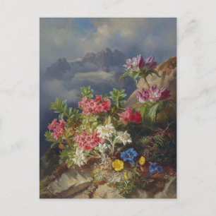 Carte Postale Encore la vie avec les fleurs alpines par Andreas 