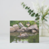 Carte Postale Encouragement (Debout devant)