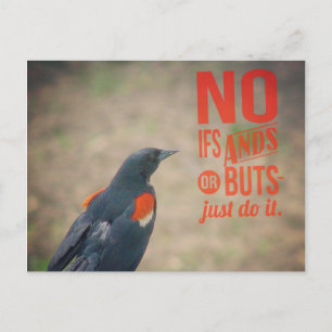 Carte Postale Encouragement au merle