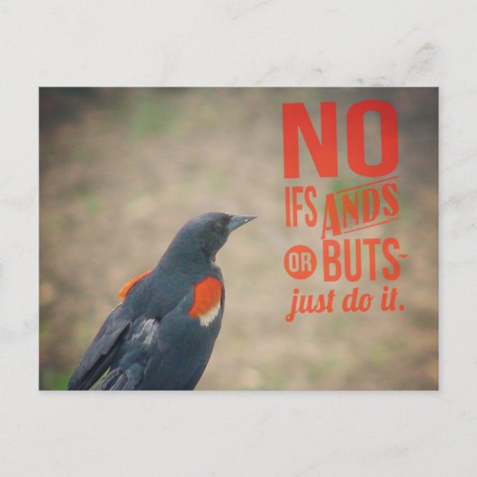 Carte Postale Encouragement au merle (Devant)