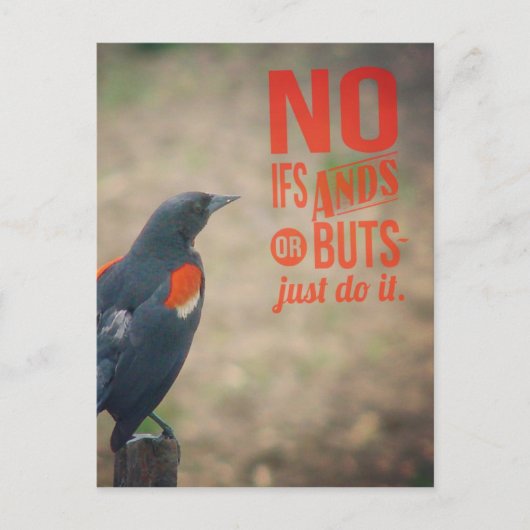 Carte Postale Encouragement de Blackbird (Devant)