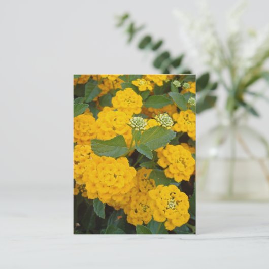 Carte Postale Encourager un ami spécial Fleurs Jaunes Positives (Debout devant)