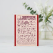 Carte Postale Encyclopédie française 1920, Champignons (Debout devant)