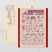 Carte Postale Encyclopédie française 1920, Champignons (Devant / Derrière)