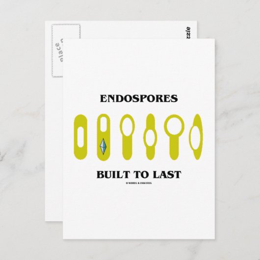 Carte Postale Endospores Construites À Dernier (Attitude Bactéri (Devant / Derrière)