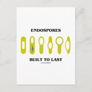 Carte Postale Endospores Construites À Dernier (Attitude Bactéri