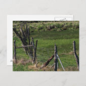 Carte Postale Enfance I (Devant / Derrière)