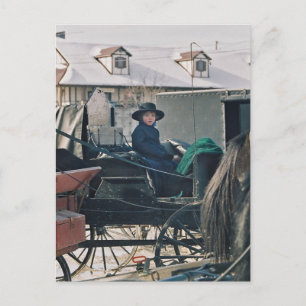 Carte Postale Enfant Amish en Buggy-Postcard