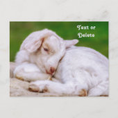 Carte Postale Enfant de chèvre pour bébé en sommeil personnalisé (Devant)