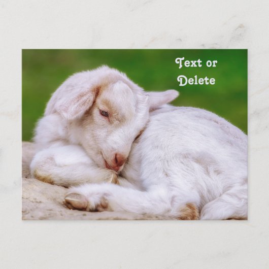 Carte Postale Enfant de chèvre pour bébé en sommeil personnalisé (Devant)