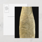 Carte Postale Enfant en vêtements de balançoire (Devant / Derrière)