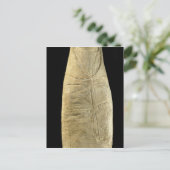 Carte Postale Enfant en vêtements de balançoire (Debout devant)