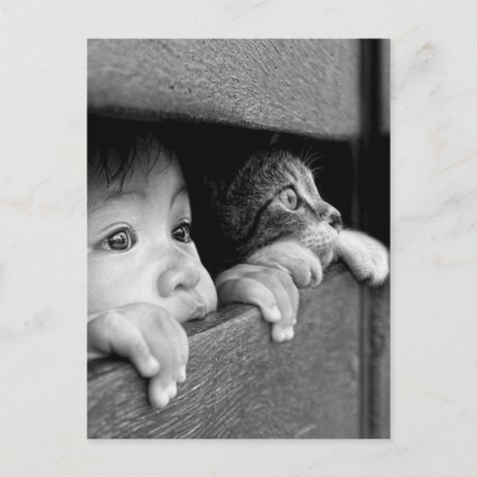 Carte Postale Enfant et chat (Devant)