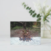 Carte Postale Enfants Lisant Jolie (Debout devant)