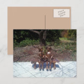 Carte Postale Enfants Lisant Jolie (Devant / Derrière)