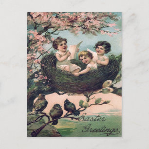 Carte Postale Enfants mignons Nid d'oiseau Arbre