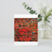 Carte Postale Enfer (Debout devant)