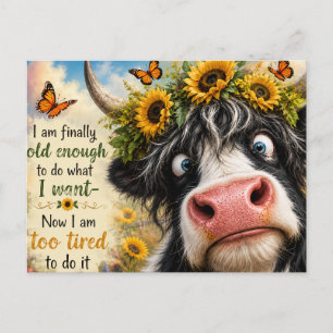 Carte Postale Enfin assez âgé Vache
