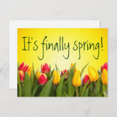 Carte Postale Enfin Printemps Coloré Tulipes Printemps Jaune (Devant / Derrière)