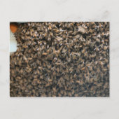 Carte Postale Enfoncer (Devant)