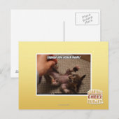 Carte Postale Engagez le mode d'attaque minuscule ! (Devant / Derrière)