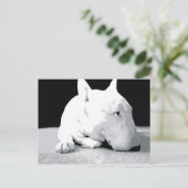 Carte Postale English Bull Terrier, Pop Art Print (Debout devant)