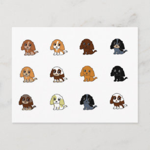 Carte Postale english cocker spaniel toutes les couleurs cartons