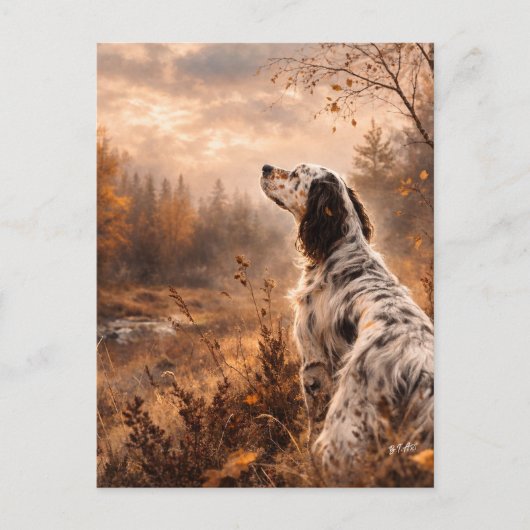 Carte Postale English Setter (Devant)
