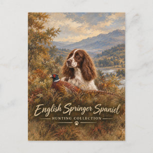 Carte Postale English Springer Spaniel