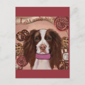 Carte Postale English Springer Spaniel (Devant)