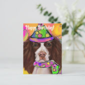 Carte Postale English Springer Spaniel (Debout devant)