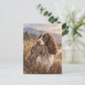 Carte Postale English Springer Spaniel (Debout devant)