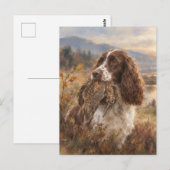 Carte Postale English Springer Spaniel (Devant / Derrière)