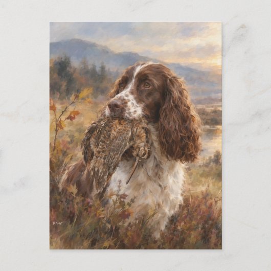 Carte Postale English Springer Spaniel (Devant)