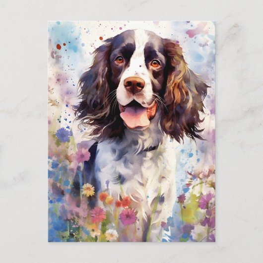 Carte Postale English Springer Spaniel aquarelle colorée (Devant)