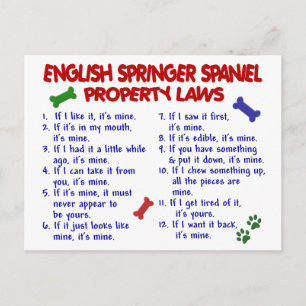 Carte Postale ENGLISH SPRINGER SPANIEL Property Laws 2