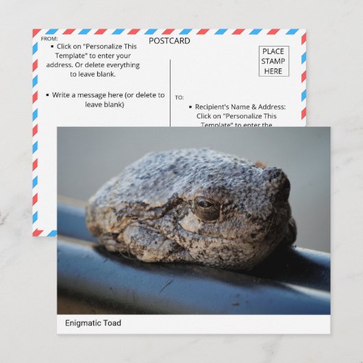 Carte postale Enigmatic Toad (Devant / Derrière)