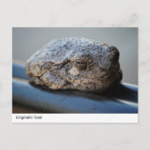 Carte postale Enigmatic Toad (Devant)