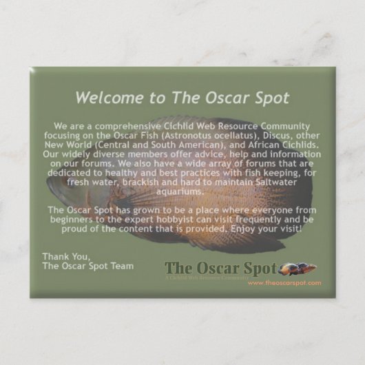 Carte Postale Énoncé de mission (Devant)