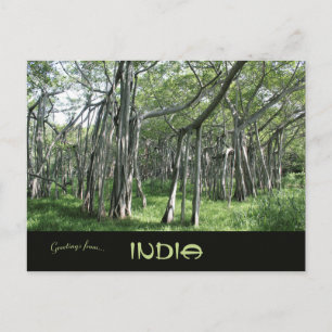 Carte Postale Énorme arbre Banyan Chennai Tamil Nadu Inde