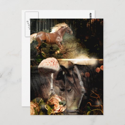 Carte Postale Enraciné dans l'Amour de Dieu (Devant / Derrière)