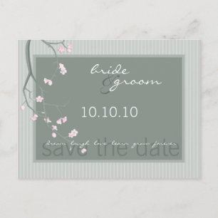 Carte Postale ENREGISTRER LA DATE :: fleur de cerisiers