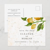 Carte Postale Enregistrer le mariage d'aquarelle de citrons luxu (Devant / Derrière)