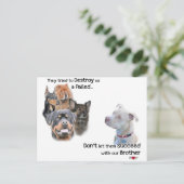 Carte Postale Enregistrer le Pitbull (Debout devant)