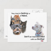 Carte Postale Enregistrer le Pitbull (Devant / Derrière)