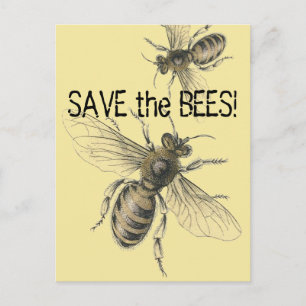Carte Postale Enregistrer les images Vintages des abeilles