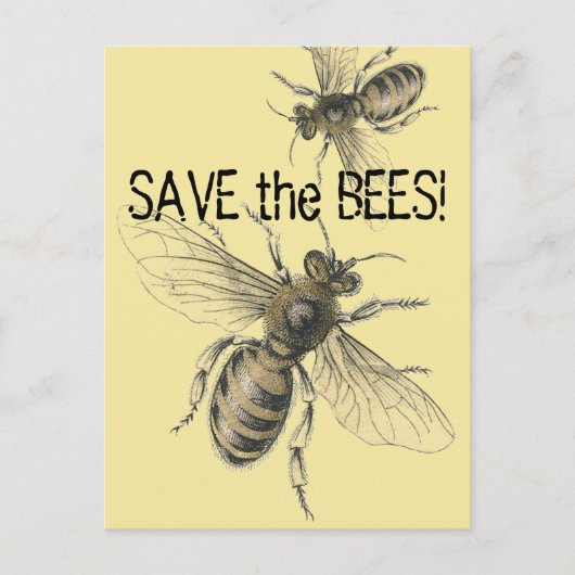 Carte Postale Enregistrer les images Vintages des abeilles (Devant)