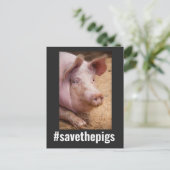 CARTE POSTALE ENREGISTRER LES PIGS PIG VEGAN POSTCARDS (Debout devant)