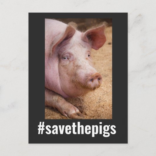 CARTE POSTALE ENREGISTRER LES PIGS PIG VEGAN POSTCARDS (Devant)
