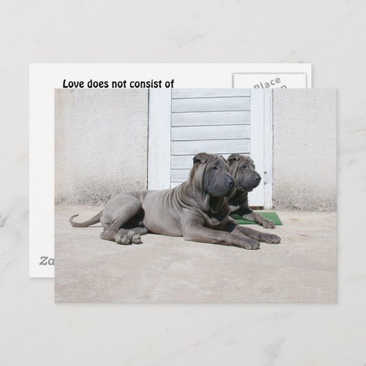 Carte Postale Ensemble (Devant / Derrière)